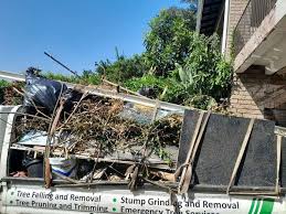 Best Commercial Junk Removal  in Napili Honokowai, HI